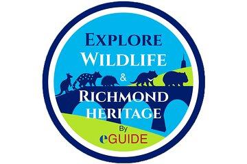 Explore Wildlife and Richmond Heritage Tour