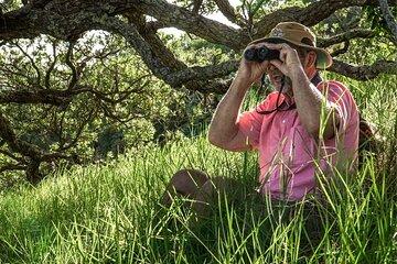 Waiheke Island Private Birding Tour