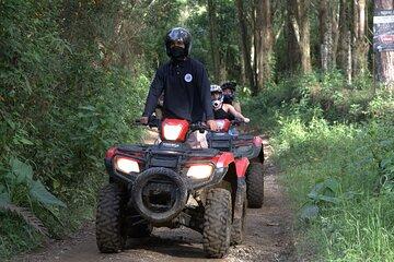 Medellin on Wheels Incredible Landscapes Tour