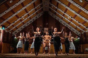 From Auckland: Te Puia Rotorua and Activity Combinations
