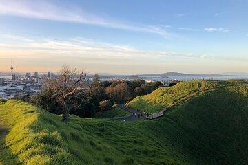 Private Auckland Tour