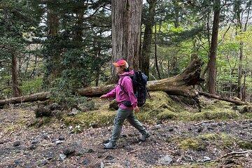 Private Mt Fuji Car and Hiking Experience from Gotemba
