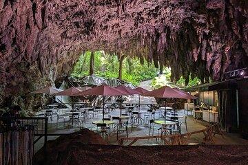Private tour with local licensed interpreter guide w/van