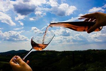 Dubrovnik Private Panorama and Wine Tasting Tour with Car