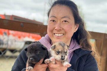 Anchorage's Authentic Dog Sledding Experience