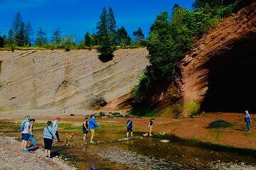 Bay Of Fundy Guided Tour