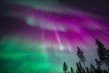Aurora Hunting Group Tour - Guaranteed View