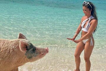 Swimming Pigs Encounter and Rose Island Beach Day Adventure