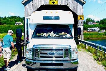 Fundy Shore Tour By Bus