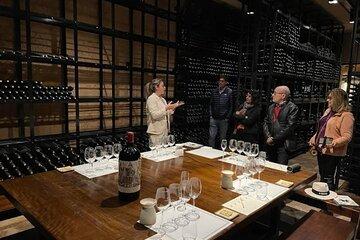 Guided Tour in Catena Zapata with 2 Wineries