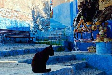 Chefchaouen Day Trip from Fez Group Tour