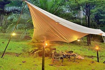 Experience Khao Sok Jungle Escape Half Day Half Night