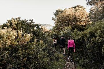 Sunset Hike and Gastro Tour