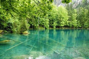 Blausee Express Sightseeing Tour from Interlaken Switzerland