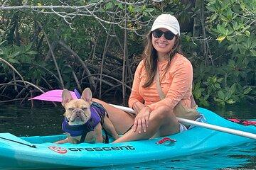 2 Hour Key West Kayak Rental – Discover Mangroves & Wildlife!