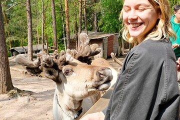 Authentic Reindeer Experience Near Helsinki (Private)