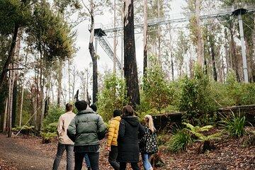4 Day Bundle - Hobart, Port Arthur, Bruny, Hastings and Tahune