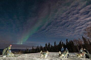 Dog Sledding and Northern Lights Combo Night