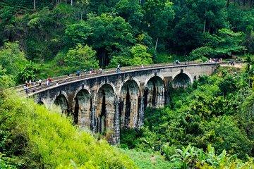 Ella Day Tour from Galle Mirissa Unawatuna