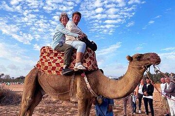 Morocco Camel Ride Agadir Inezgane Shared Activity