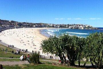 7 Wonders of Sydney East/CBD Luxury Private Tour