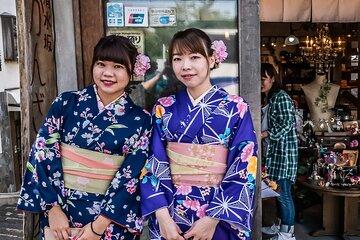 Kyoto Private Car City Tour