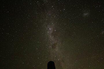 5 Day South Island Tour from Queenstown including Stewart Island