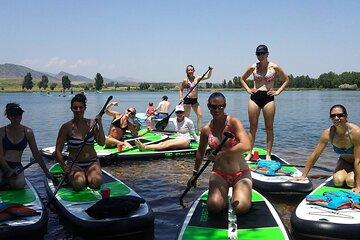 Stand Up Paddleboard Rentals