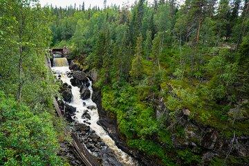 From Rovaniemi: Auttikongas Wilderness Hike