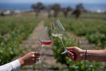 Volcanic Elegance- 2 Winery Tour with Wine Tastings & snacks
