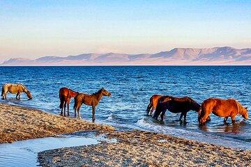 Private 11 Days Trip at Kyrgyzstan