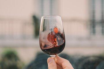 Taylor's Wine Cellar and Wine Experience