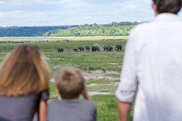 Shared Chobe Safari Day Trip from Victoria Falls