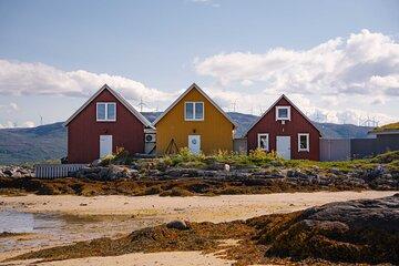 Scenic Arctic Fjord Tour Nature and Wildlife Adventure