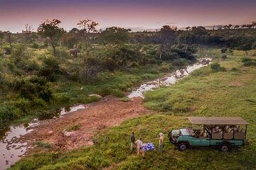 Bush Braai Dinner and Game Drive Kruger Park Plus