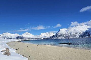 Tromsø Arctic Fjords Adventure Tour with Local Lunch