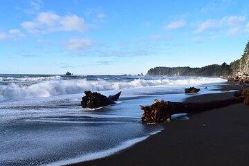 From Seattle Private Hoh Rain Forest and Rialto Beach Tour