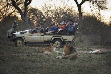 7 Day Luxury Kapama Kruger and Victoria Falls Safari