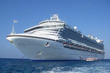 Private Transfer From Cruise Port Rotterdam to Schiphol Airport