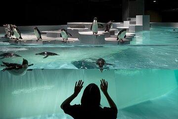 Sapporo AOAO Aquarium Park Hokkaido