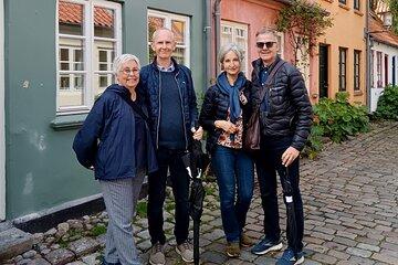 Guided Walking Tour in Aarhus