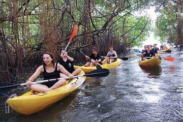 Portobelo Jungle & Reef Adventure Eco Tour (Kayak, hike, snorkel)