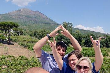 Wine Tasting in Naples and Amalfi Coast Tour All Inclusive