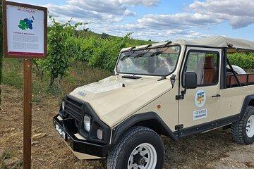 Tavira, Santa Luzia & Wine Tasting