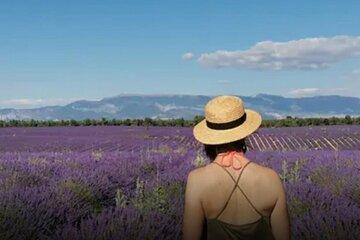 Visit of a winery and lavender farm