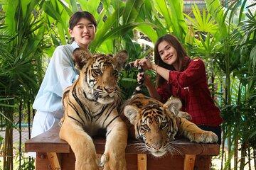 Tiger Park Pattaya Entry Ticket with Private Hotel Transfer