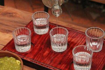 Oaxacan Mezcal and Pairing Tasting