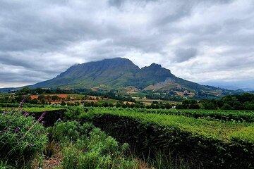 Private Tour in Stellenbosch Central with 4WD Transportation