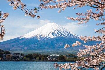 Mt. Fuji Luxury Car Private Tour from Tokyo
