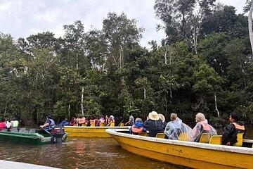 From Sandakan to Kinabatangan River Safari Boat Cruise Day Tour